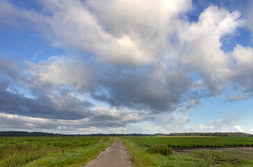Fototapeta na wymiar Road. Countryside. Clouds at Uffelter Es. Drenthe. Netherlands. Clouds.