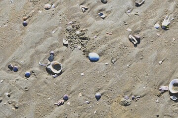 footprint on the sand