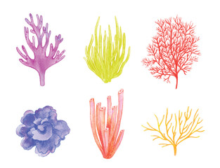 Set of colorful coral watercolor illustration