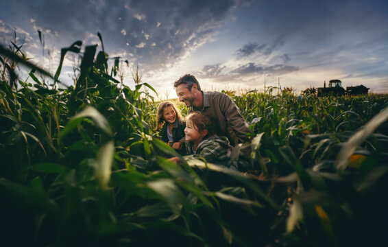 A farmer and his two children in a cornfield at sunset, with farm equipment in the background. Generative ai