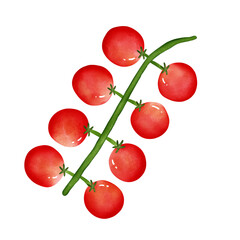 Vegetables, Fruits