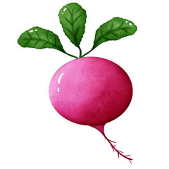 Vegetables, Fruits