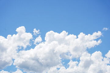 夏の雲