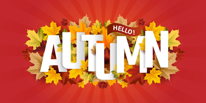 Hello Autumn greeting Background, set of abstract backgrounds with leave frame, autumn sale, banner, posters, cover design templates, social media wallpaper stories, happy fall yall