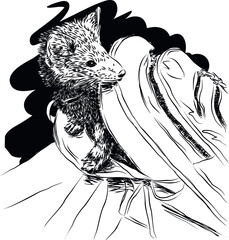 Sketch of a sable peeking out of a backpack