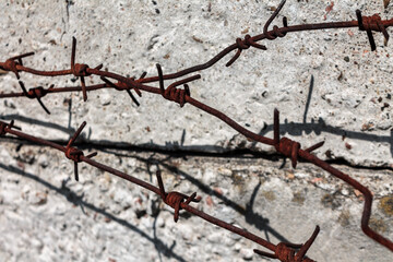 rusty barbed wire old