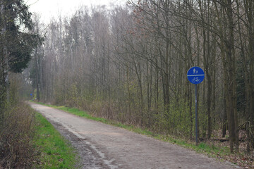 Ścieżka rowerowa prowadząca przez las. - obrazy, fototapety, plakaty
