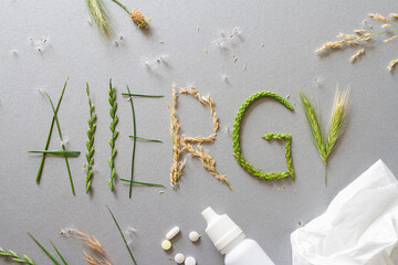 Word "allergy" made of different grasses, medicaments, pollen and grass allergy concept