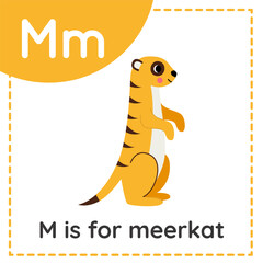 Animal alphabet flashcard for children. Learning letter M. M is for meerkat.