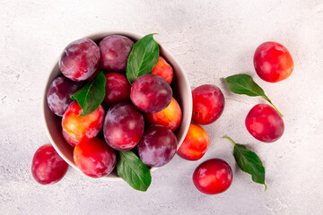 A bowl with ripe juicy plums on a gray background.