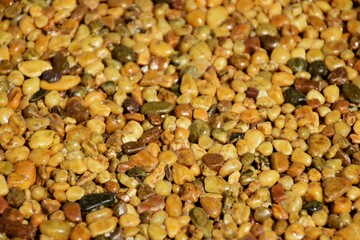 macro detail of yellow brown shiny small pebble textured sealed flooring. wet look. closeup view. texture and pattern. exterior construction material.