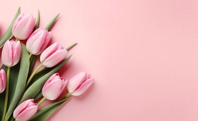Fototapeta premium Pink tulip flowers on pink background top view in flat lay style. Greeting for Womens or Mothers Day.