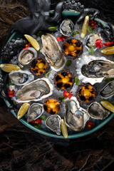 fresh oysters on ice