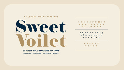 Elegant Vintage Typography: A Collection of Romance Serif Fonts.