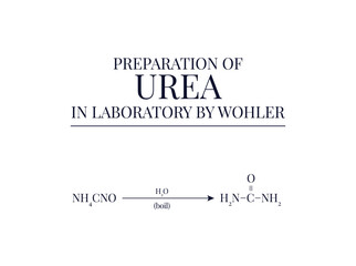 Preparation of Urea by Wohler