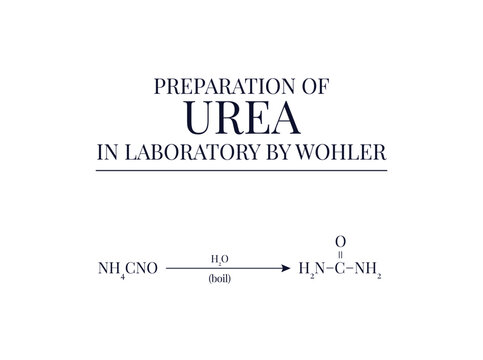 Preparation of Urea by Wohler