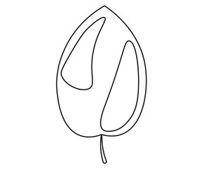 leaf