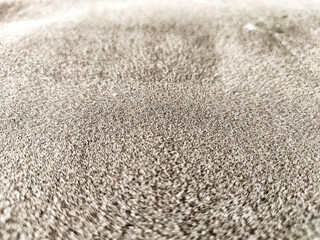 Grey rough foam background and texture. Abstract drawing, place for text, copy space. Partial focus, blur and blurred