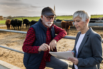 Farmer and business woman on cow farm