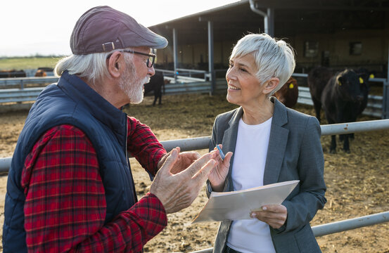 Farmer and business woman on cow farm