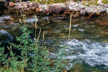 water flowing in the mountains