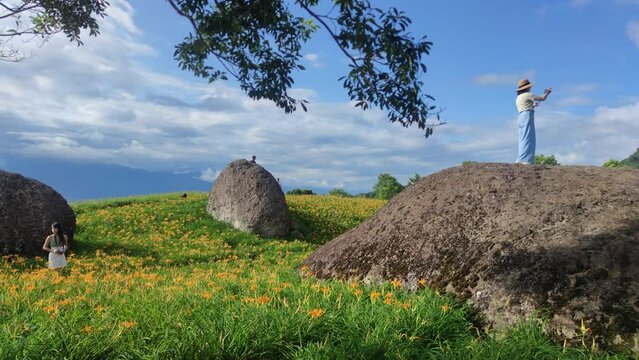 Landscape View Of The Beautiful Tiger Lilies (Daylily) Garden Blooming On The Hill Of Chi Ke Shan (Chike Shan), Yuli, Hualien, Taiwan