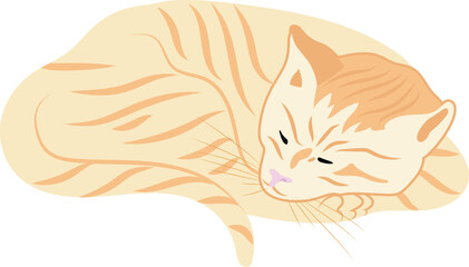 illustration of a sleeping cat vector