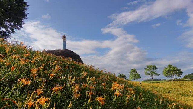 Landscape View Of The Beautiful Tiger Lilies (Daylily) Garden Blooming On The Hill Of Chi Ke Shan (Chike Shan), Yuli, Hualien, Taiwan