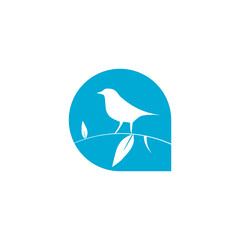 Bird in speech bubble icon isolated on transparent background