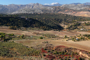 Fototapeta na wymiar Landscape with a panoramic view of the valley and mountains in the background in the city of Ronda, Andalusia region, southern Spain