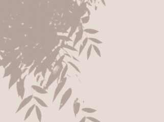 Light textured background with leaves shadow