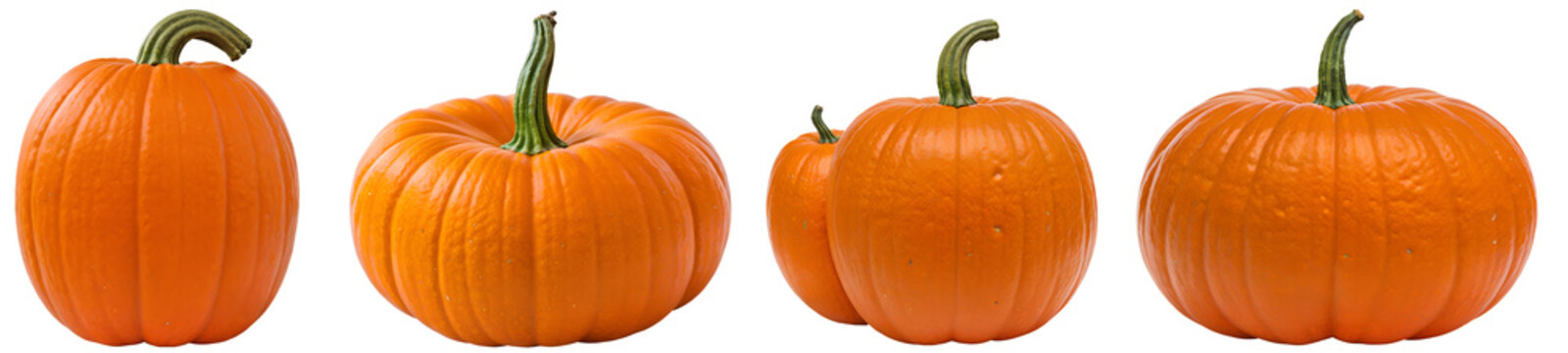 collection of orange pumpkins isolated on transparent background cutout - png - mockup for design - image compositing footage - alpha channel - Thanksgiving