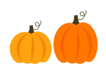 Two big pumpkins isolated on white background. Autumn pumpkins png illustration.