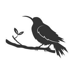 bird logo vector illustration design