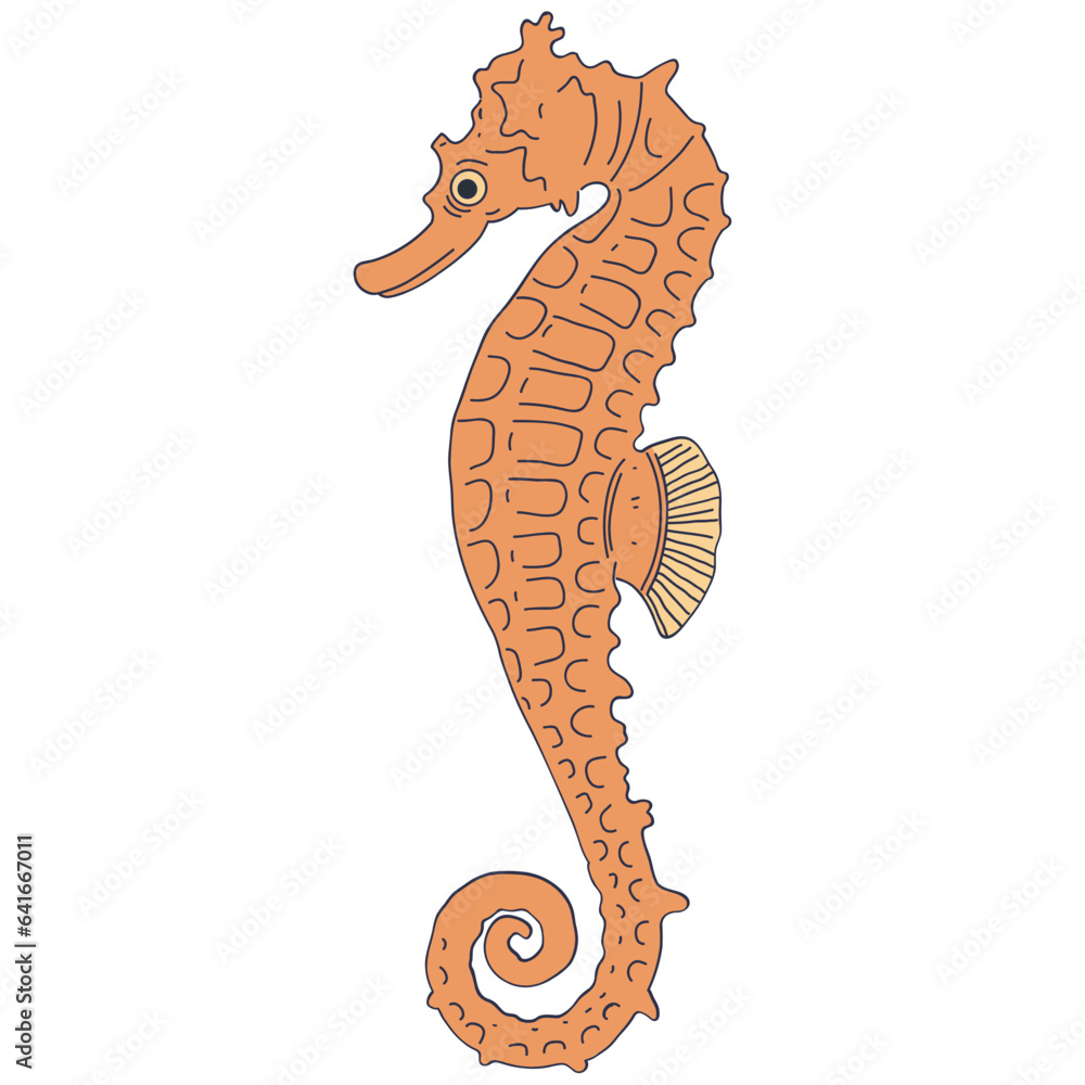 Poster seahorse cartoon illustration