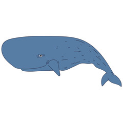 Sperm whale cartoon illustration