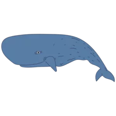 Fotobehang Walvis Sperm whale cartoon illustration