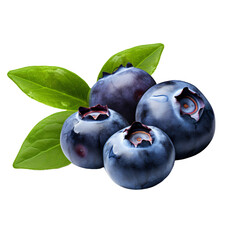 Obraz premium blueberry