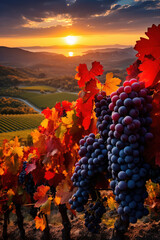 Natures canvas ablaze with warm hues as vineyards in autumn showcase their rich harvest inviting a feast for the senses 