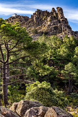 La Peña tras los pinos