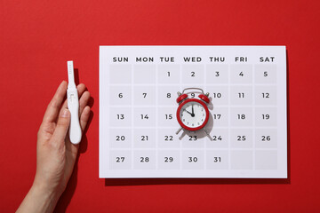 Ovulation period, calendar with clock, conception process.