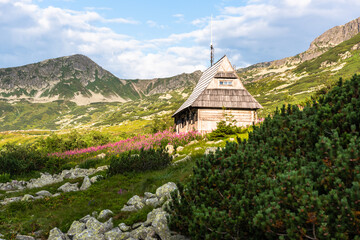 Wooden alpine hut in high Tatra Mountains in Poland at summer. Scenic landscape and nature