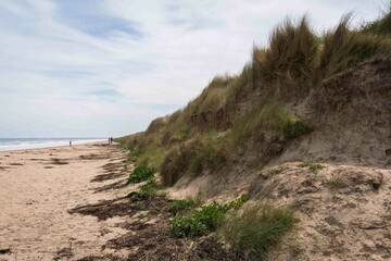 Utah Beach in Normandy, France