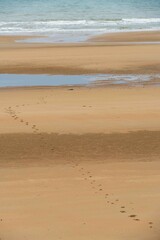 Omaha Beach Site of WWII D-Day Landing in France