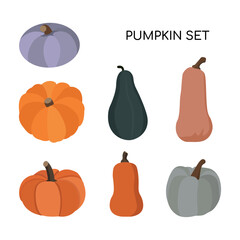 Vector Set of Pumpkins in Flat Style.   Autumn thanksgiving and halloween pumpkins collection