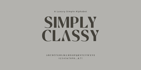 Simply Classy minimalist elegant luxury alphabet font suitable for branding, logo, etc.