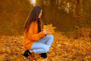 searching for rest and recovery in nature. woman looking for leaves for atmosphere autumn bouquet