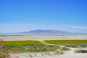 antelope island state park and the great salt lake in Utah	
