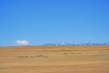 Fototapeta na wymiar antelope island state park and the great salt lake in Utah 