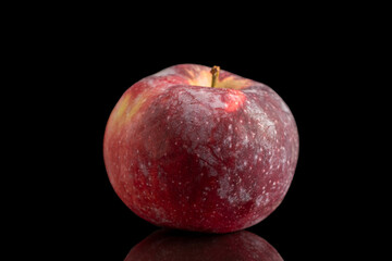 One juicy dark red apple, macro, isolated on black background.